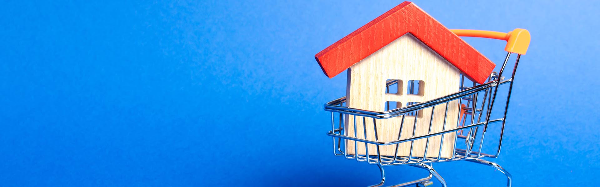 CASA ALL’ASTA: come finisce all’asta una casa?